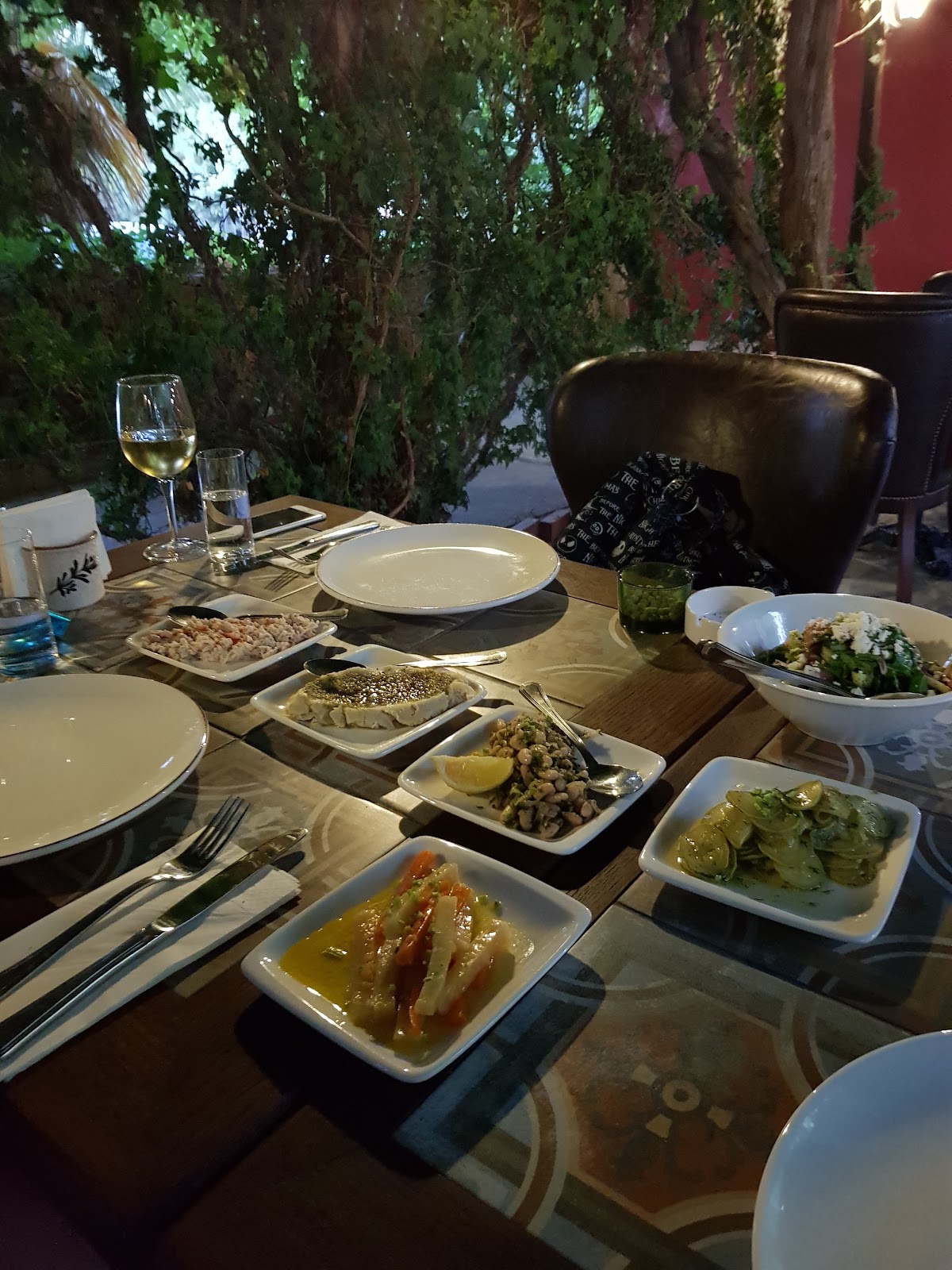 Bahçede kurulmuş meze sofrası